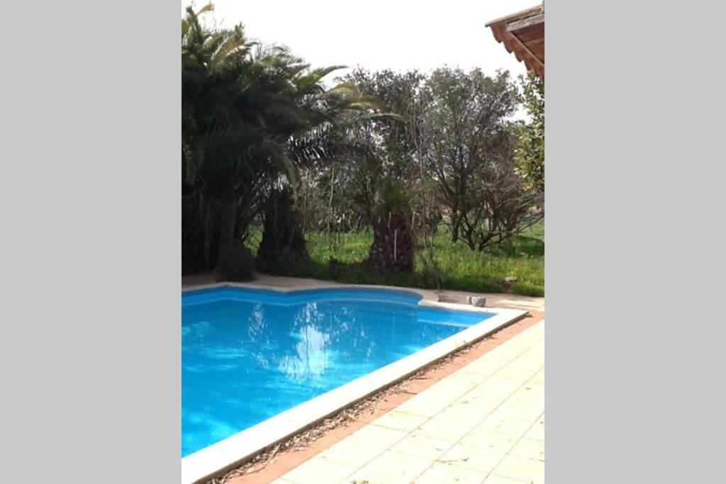 Big Relax Apartment With Swimming Pool And A Peaceful Garden In A Private Villa Sestu Bagian luar foto