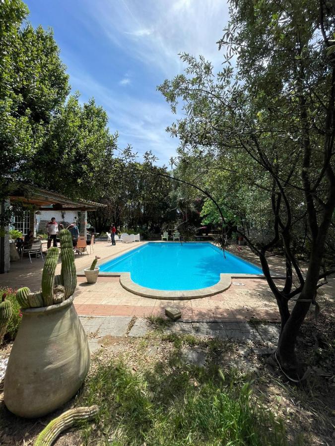 Big Relax Apartment With Swimming Pool And A Peaceful Garden In A Private Villa Sestu Bagian luar foto