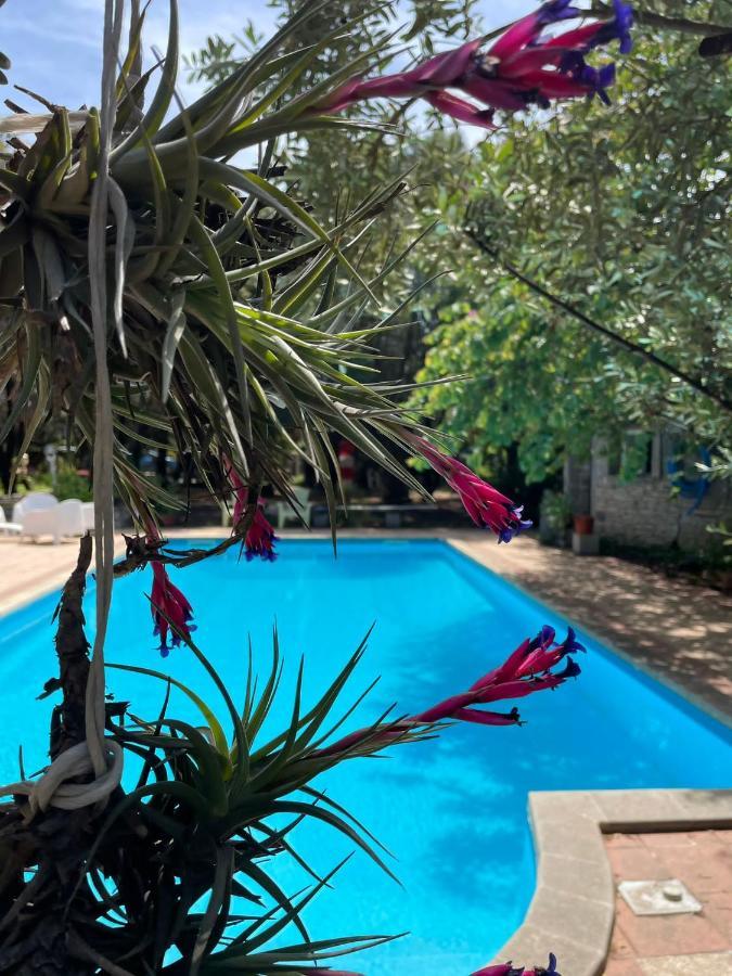 Big Relax Apartment With Swimming Pool And A Peaceful Garden In A Private Villa Sestu Bagian luar foto